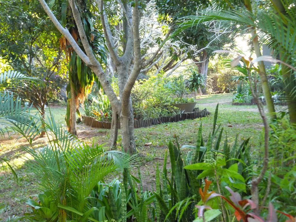 St Lucia Kingfisher Lodge St. Lucia Exterior foto